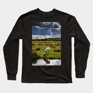 Sheep and lamb Long Sleeve T-Shirt